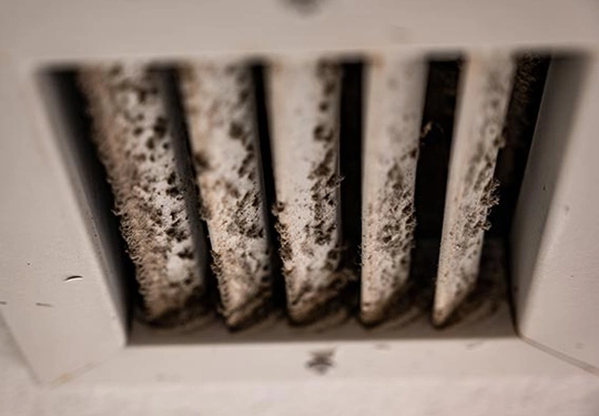 Professional Dryer Vent Cleaning in Leland NC