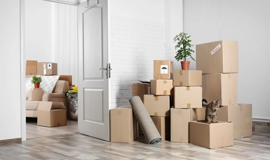 Reliable Move-Out Cleaning Services in Jacksonville NC